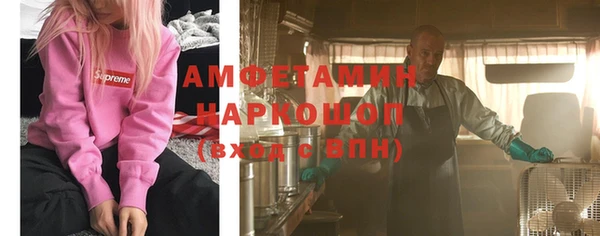 ГАЛЛЮЦИНОГЕННЫЕ ГРИБЫ Аркадак