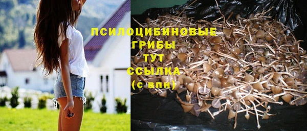 кокс Армянск