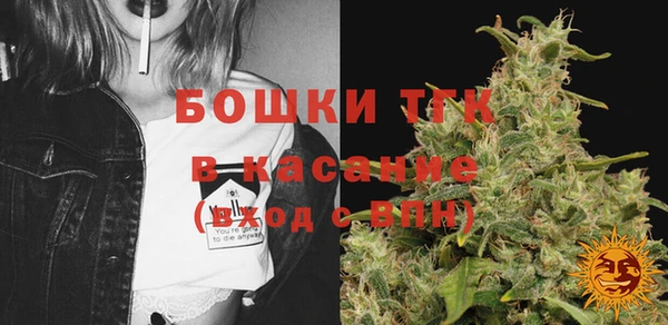 ГАЛЛЮЦИНОГЕННЫЕ ГРИБЫ Аркадак