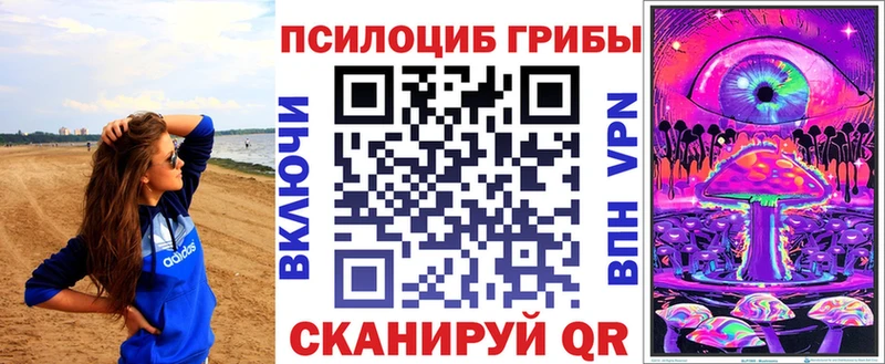 Псилоцибиновые грибы GOLDEN TEACHER  ОМГ ОМГ tor  Беломорск  закладки 